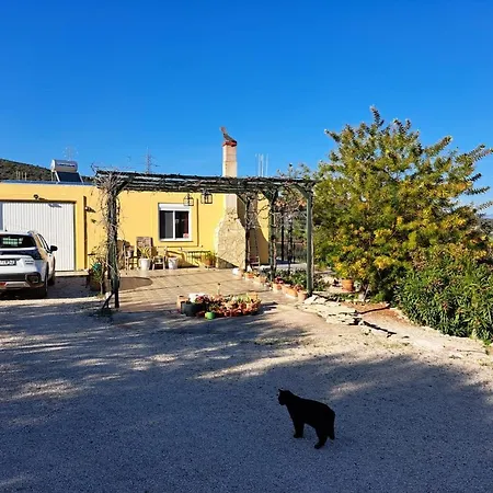 Grieks To Kalokairi Κουγαίικα
